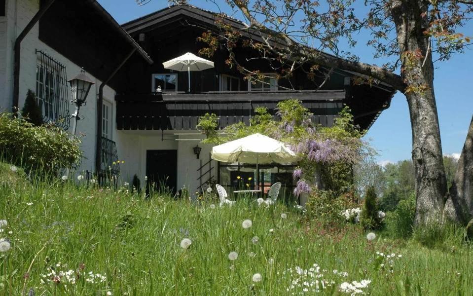Ferienhaus Nest Blaichach Exteriér fotografie