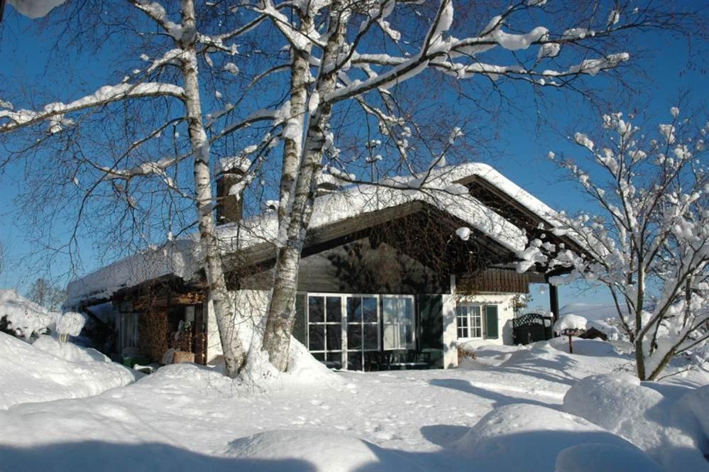 Ferienhaus Nest Blaichach Exteriér fotografie