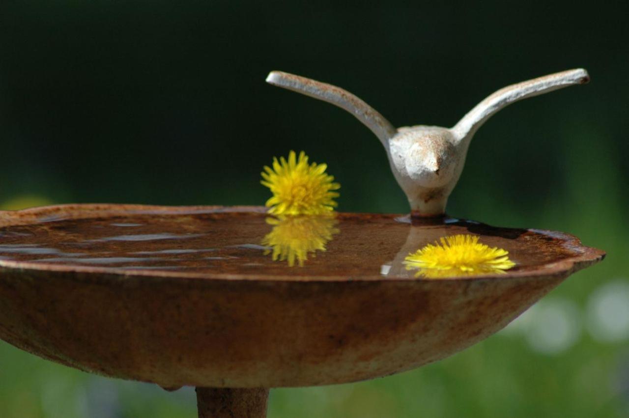 Ferienhaus Nest Blaichach Exteriér fotografie